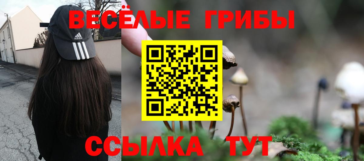 Галлюциногенные грибы Psilocybine cubensis  Вход с VPN  Камышин 